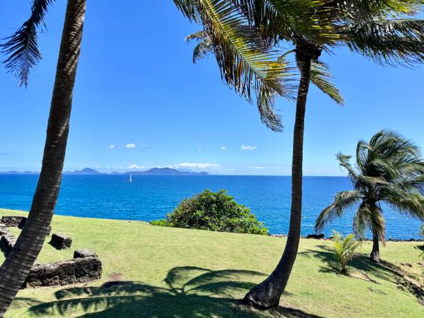 istock French West Indies landscape 2153591832