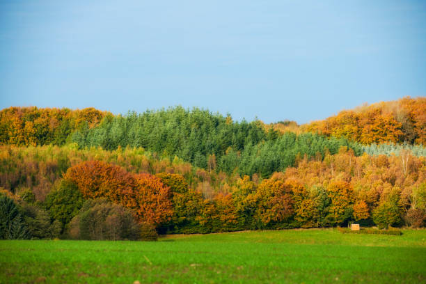 Autumn photos in Denmark