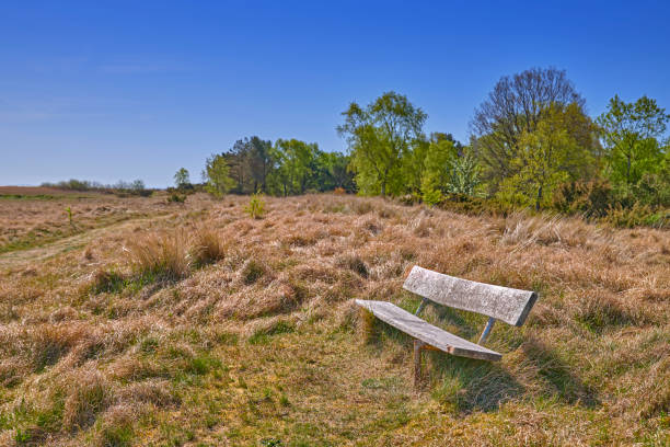 Autumn photos in Denmark