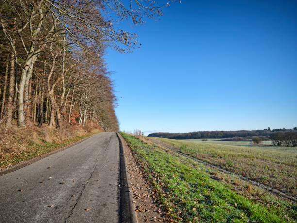 istock Nature photos in Autumn 2153594340