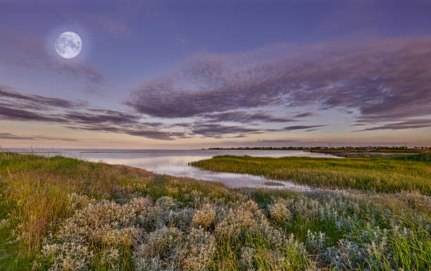 istock Nature photos in Autumn 2153594360