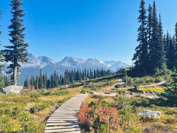 istock Whistler provincial park mountain top 2153594428