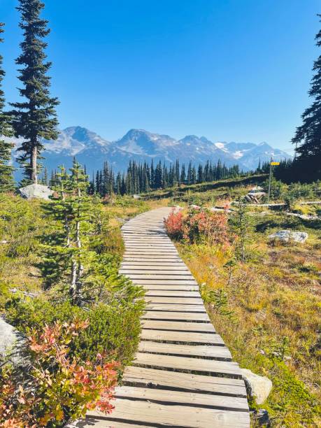 istock Whistler provincial park mountain top 2153594441