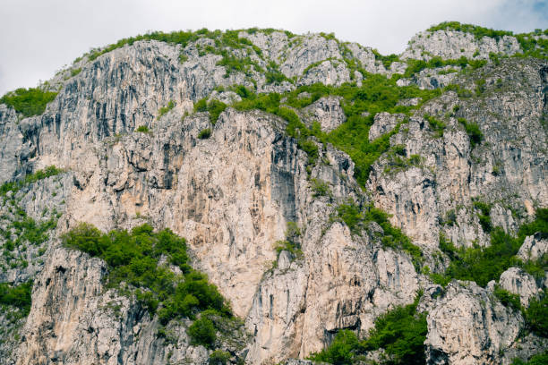 close up view of rocky mountainside with patches of green vegetation