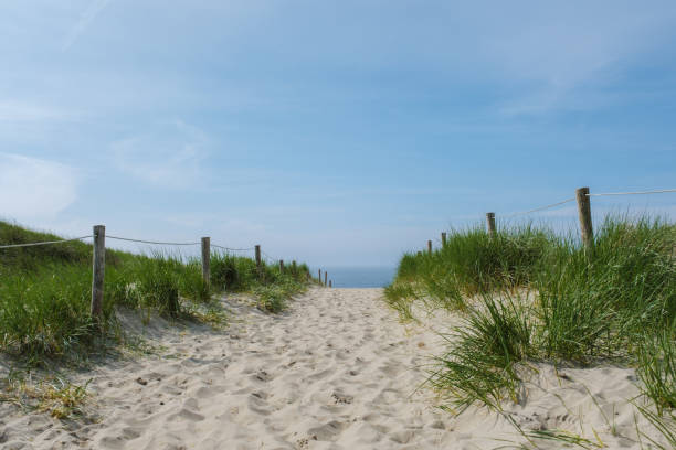 istock A winding path leads through sandy dunes towards the tranquil beach of Texel, Netherlands, showcasing the beauty of the natural landscape 2153603123