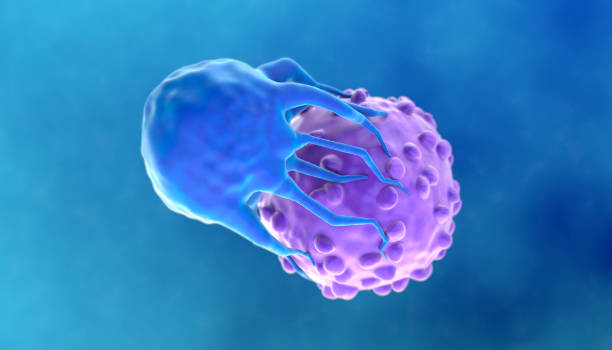 CAR-T Cell Therapy Targeting Cancer Cells stock photo