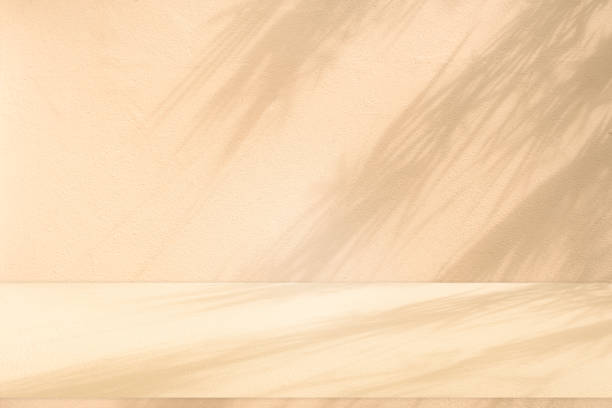 istock Wall interior background, studio and backdrops show products.with shadow from window color white and beige . background for text insertion and presentation product 2153605084