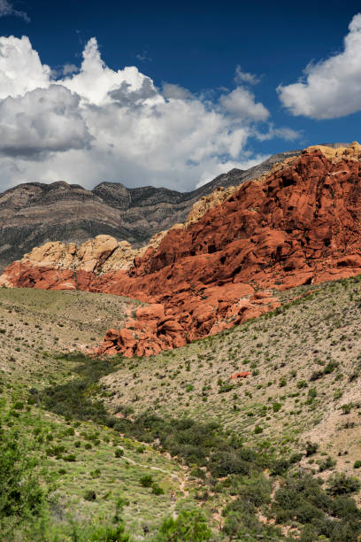 istock Red Rock Canyon Las Vegas 2153607278