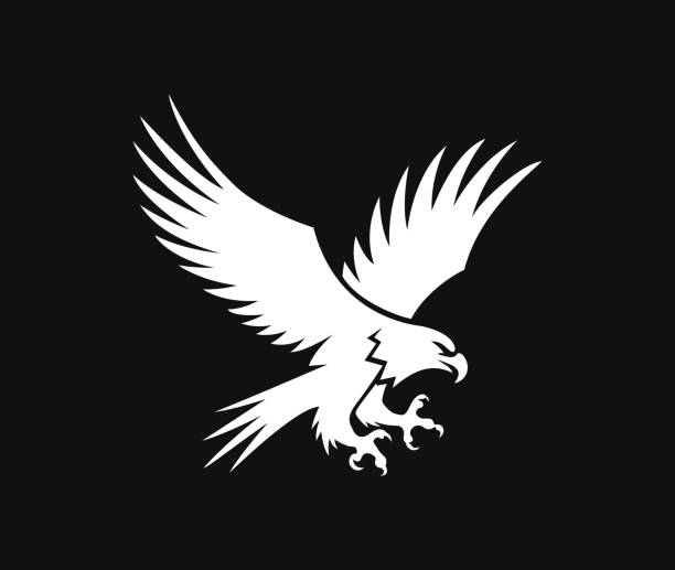Eagle symbol stock illustration Eagle logo Hawk design illustration black family crest stock illustrations