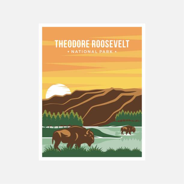 Theodore Roosevelt National Park poster vector illustration design