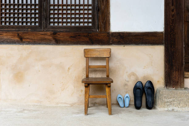 antique shoes