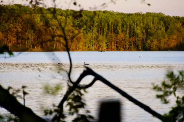 A man enjoys a sunset paddle in his kayak on Burke Lake at Burke Lake Park in Northern Virginia on a Spring evening.