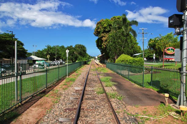 Harvested sugar cane in bins ready for transporting by rail to a refinery