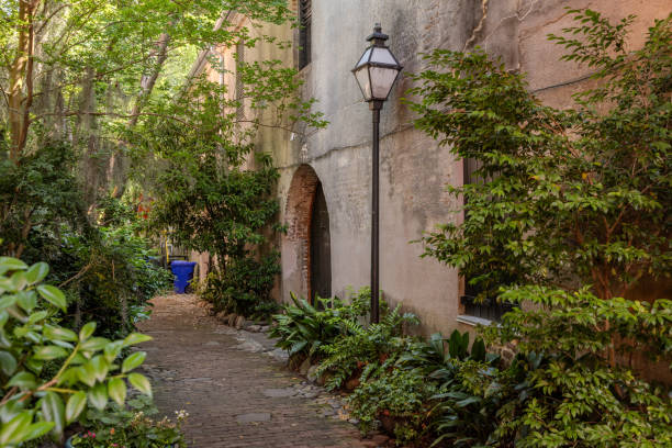 istock Charleston, South Carolina 2153619665