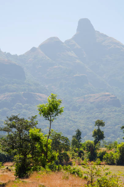 istock Beautiful landscape with mountain in the background 2153634995