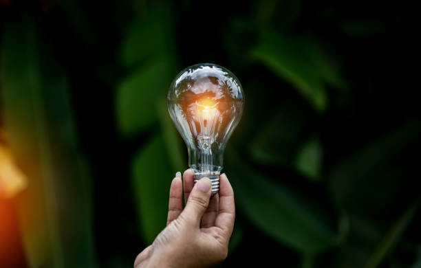 istock light bulb against nature, icons 2153637572