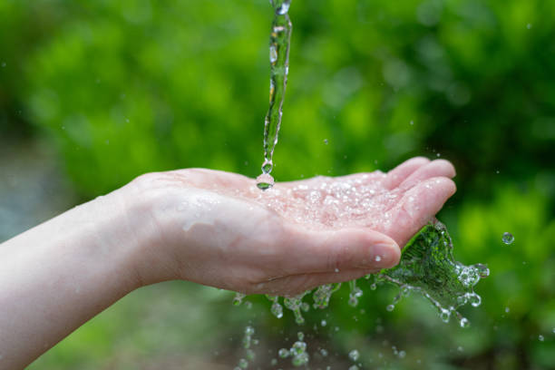 istock Pose of receiving water with palms 2153638834