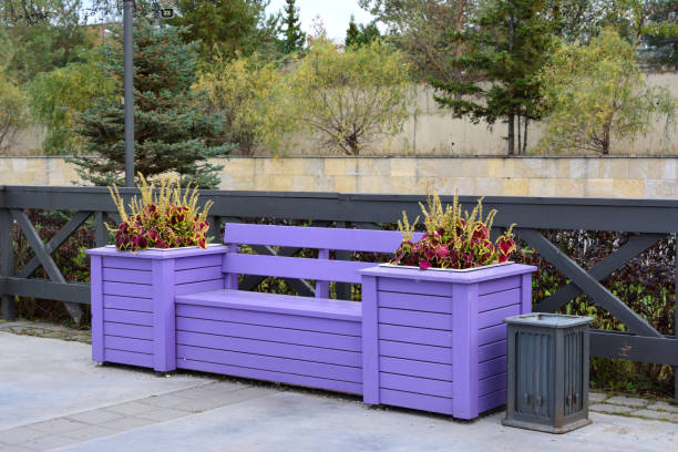 purple bench with flowerbed and plants