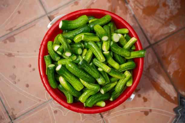 A red bucket filled with cucumbers. The cucumbers are green and appear to be freshly picked