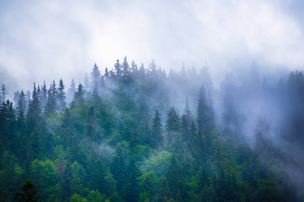 istock Misty mountain landscape 2153654760