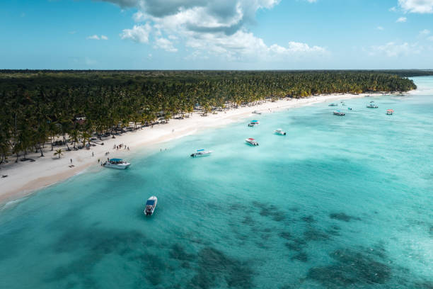 istock Tropical Caribbean beach from above, Dominican Republic 2153654860
