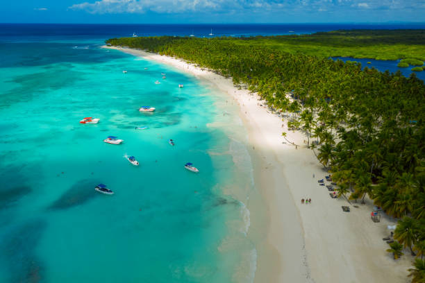 istock Tropical Caribbean beach from above, Dominican Republic 2153654908