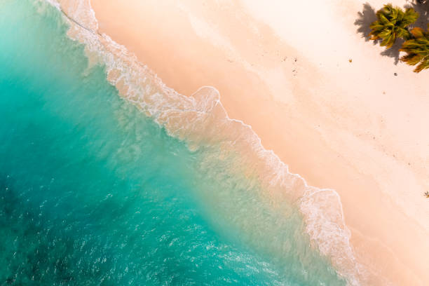 istock Tropical carribbean beach, aerial abstract background 2153654956