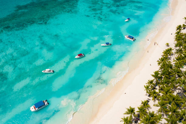 istock Tropical Caribbean beach from above, Dominican Republic 2153655123