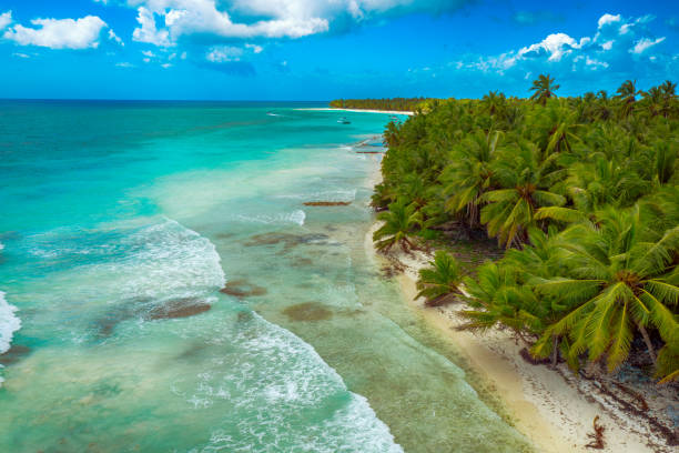 istock Tropical Caribbean beach from above, Dominican Republic 2153655178