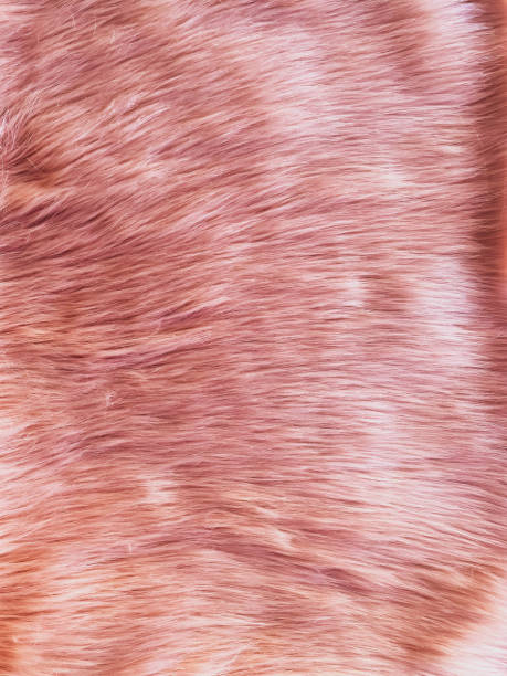 istock Soft Pink Fur Texture. 
Fur background 2153657532