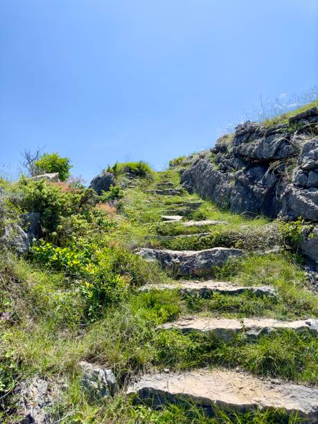 istock Stone stairway in nature 2153657825