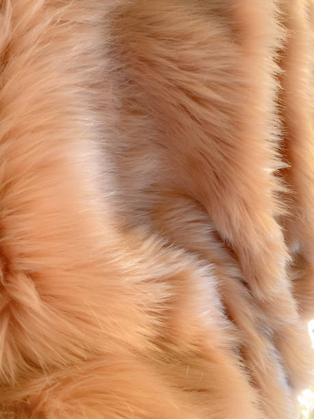 istock Soft Pink Peach Fur Texture. Fur background 2153658380