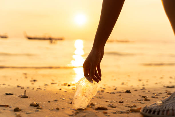 istock A person is picking up trash on the beach. The sun is setting in the background. 2153662896