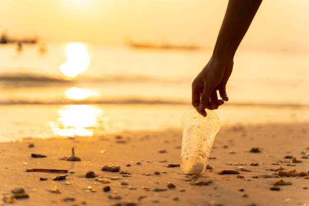 istock A person is picking up trash on the beach. 2153662905