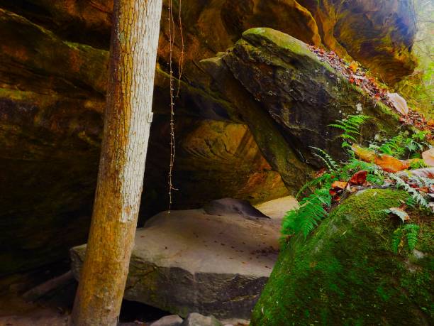 Rock Shelters for exploring in Dismal Canyon Alabama