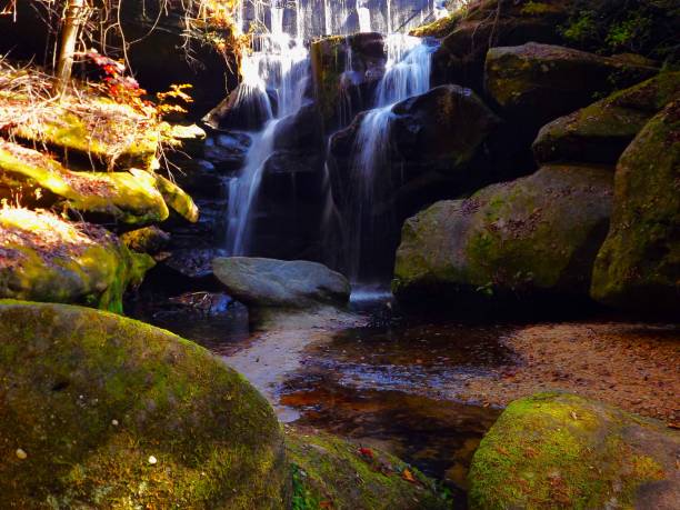 istock DIsmal Canyon in Northeast Alabama 2153663661