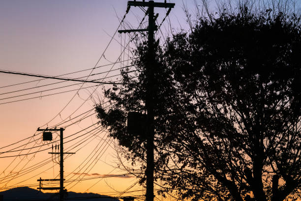 Silhouette of power lines and tree branches against a colorful sunset sky, capturing the peaceful transition from day to night with a mix of natural and urban elements.