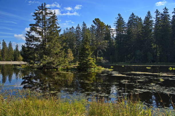 istock Pond at nature studies path at Kladska, Czech Republic, Europe 2153670730
