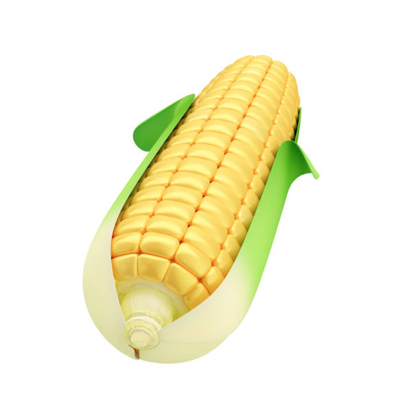 istock 3D Cartoon-Style Corn on the Cob with White Background Isolation 2153671367