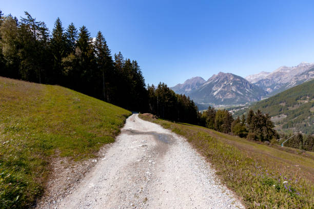 Aerial view of mountain biker riding rural road in forest, mountains in distance