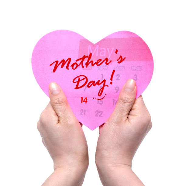 Woman's Hands Holding pink Heart isolated on white background