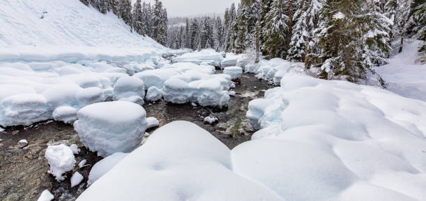 Snow Covered Canadian Landscape. Whistler, BC, Canada.