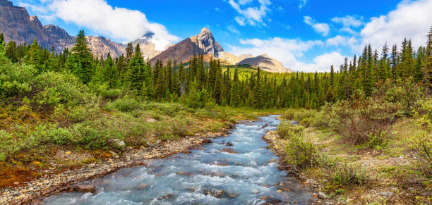 istock River in Canadian Rockies during sunny cloudy day. Banff, Alberta, Canada 2153674932