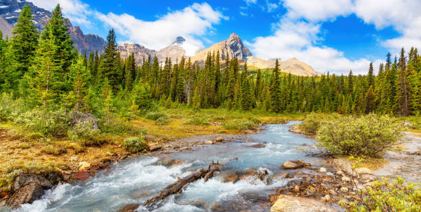 istock River in Canadian Rockies during sunny cloudy day. Banff, Alberta, Canada 2153674947