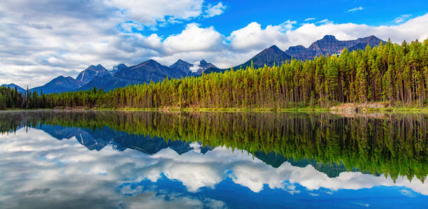 istock Canadian Rocky Mountain Landscape. Nature Background. Alberta, Canada 2153674962