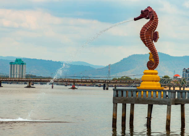 new seahorse at kampot cambodia, kampot province 2024