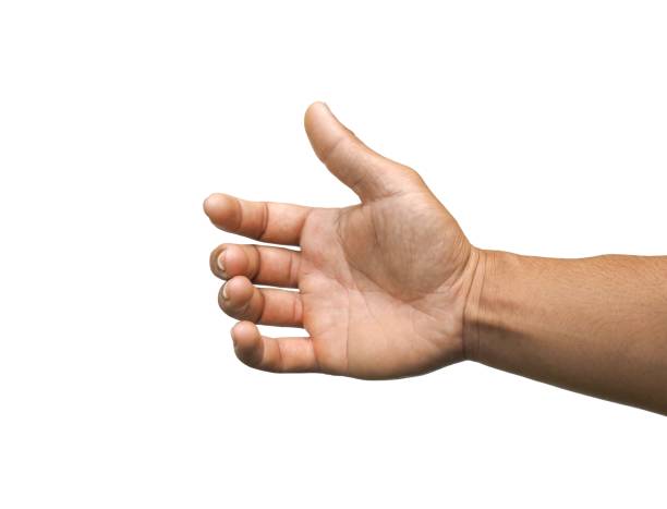 istock Men's hands making gestures like  is holding something  such as a phone or a water bottle  Isolated on white background. 2153680141