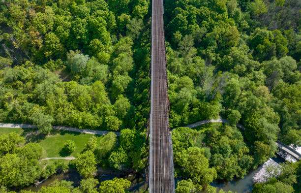 Top aerial view of a freight train moving through a beautiful spring forest . Toronto, Canada