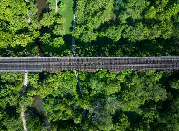 Top aerial view of a freight train moving through a beautiful spring forest . Toronto, Canada