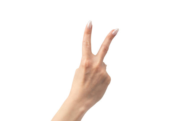 istock Woman hands  isolated on a white background. 2153693241